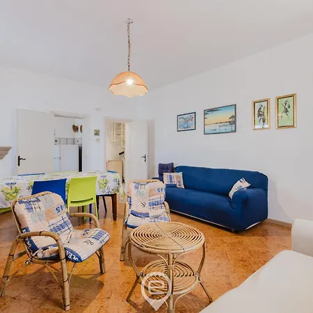 Estay - L'angolo Blu