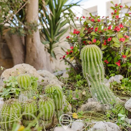 Feriehus L'angolo Blu *