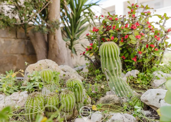 Ferienhaus L'angolo Blu *